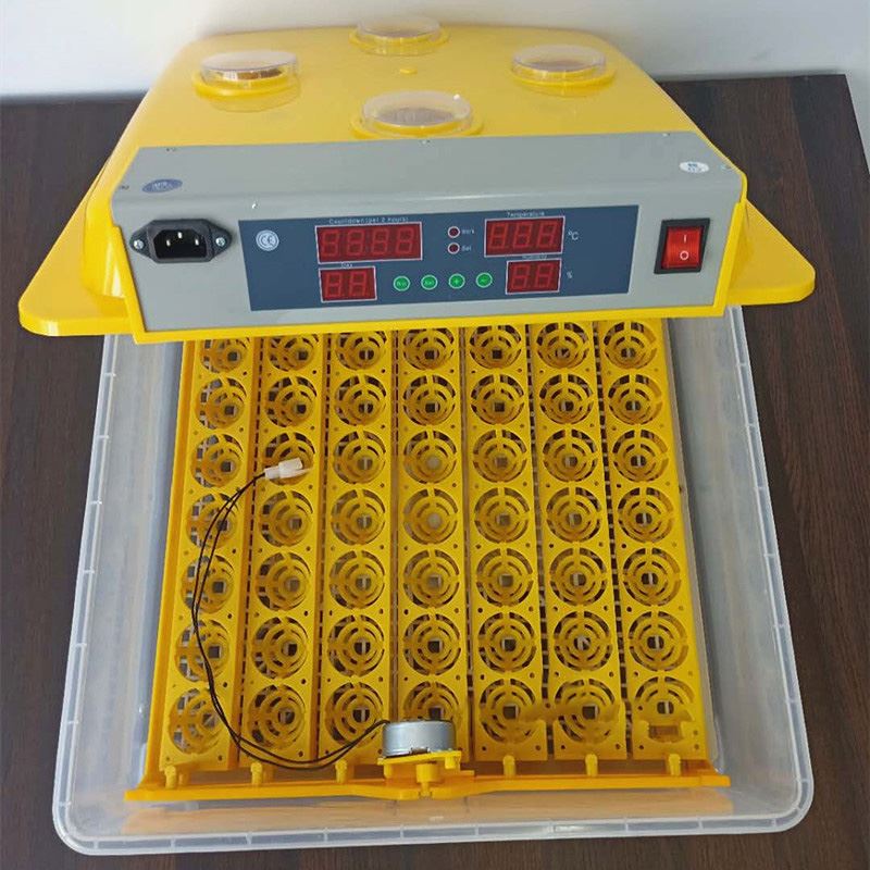 10 10